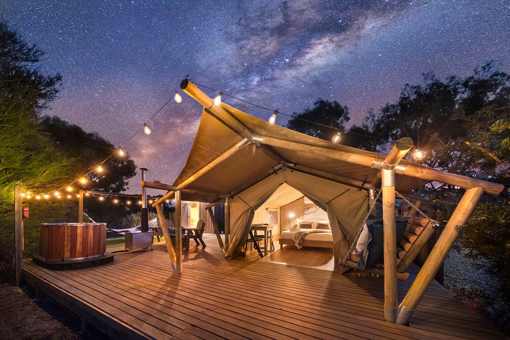 00644_DSF2633_-lores_1_uwxvfa