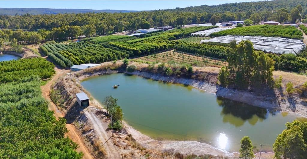 Dam, orchard in Perth Hills.
