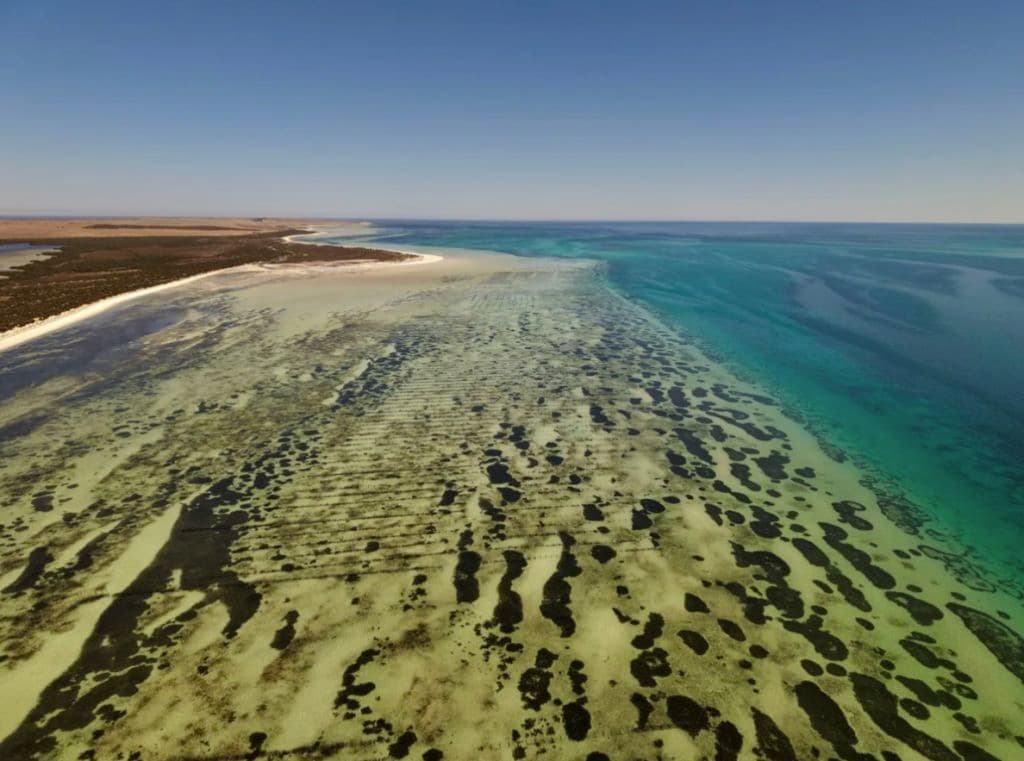 The coastline from above shows the turquoise waters meeting the sand.
