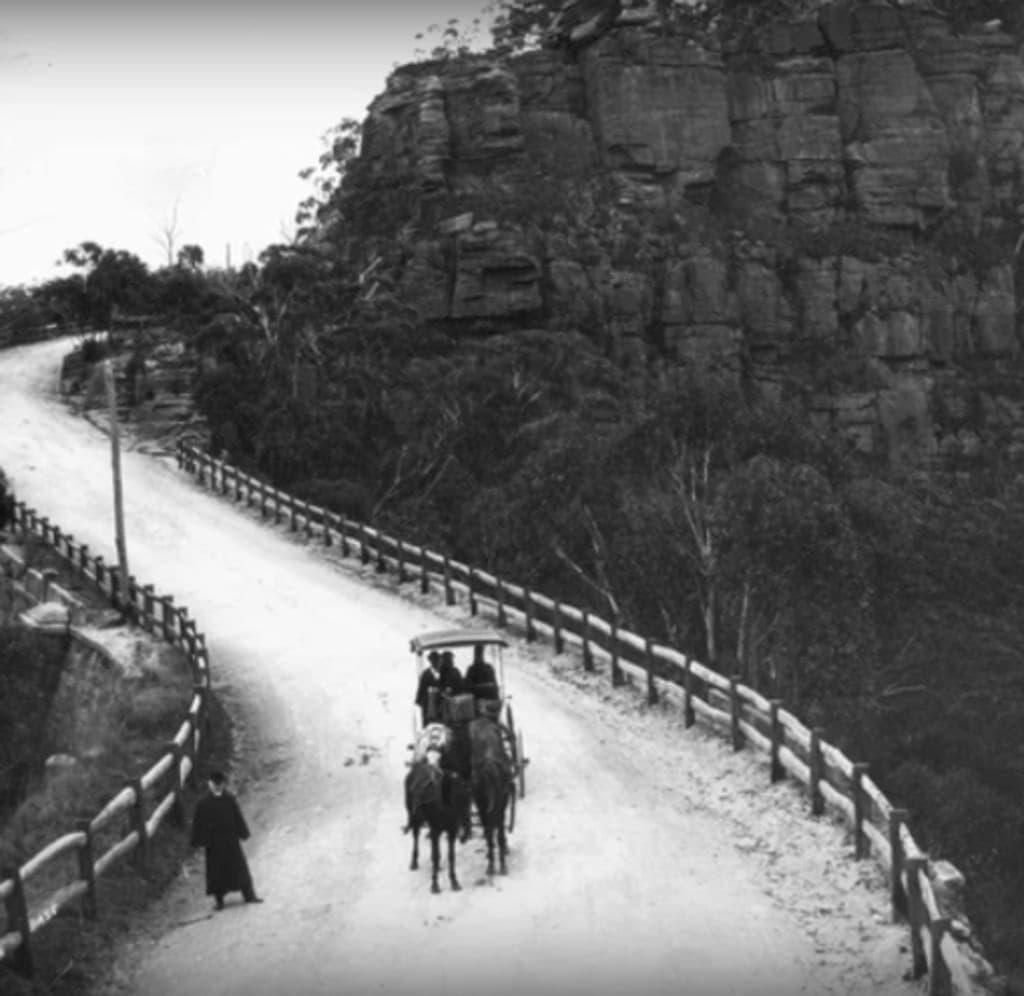 A horse and cart travels along a Blue Mountains road.