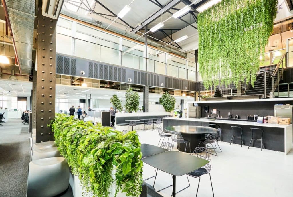 A kitchen communal space is filled with modern furniture and green touches.