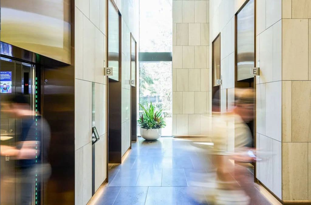 A modern office lobby with lifts and a pot plant.