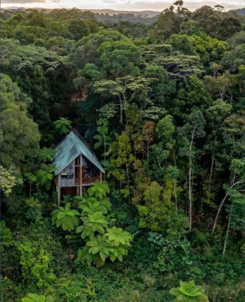 The eco-retreat property is shrouded in trees and lush rainforest.
