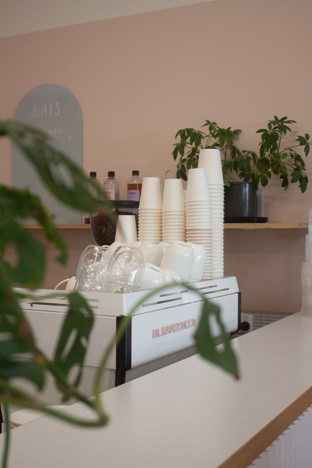 Moss and Wild in Penola, South Australia, is a vibrant homewares and fashion boutique and cafe.