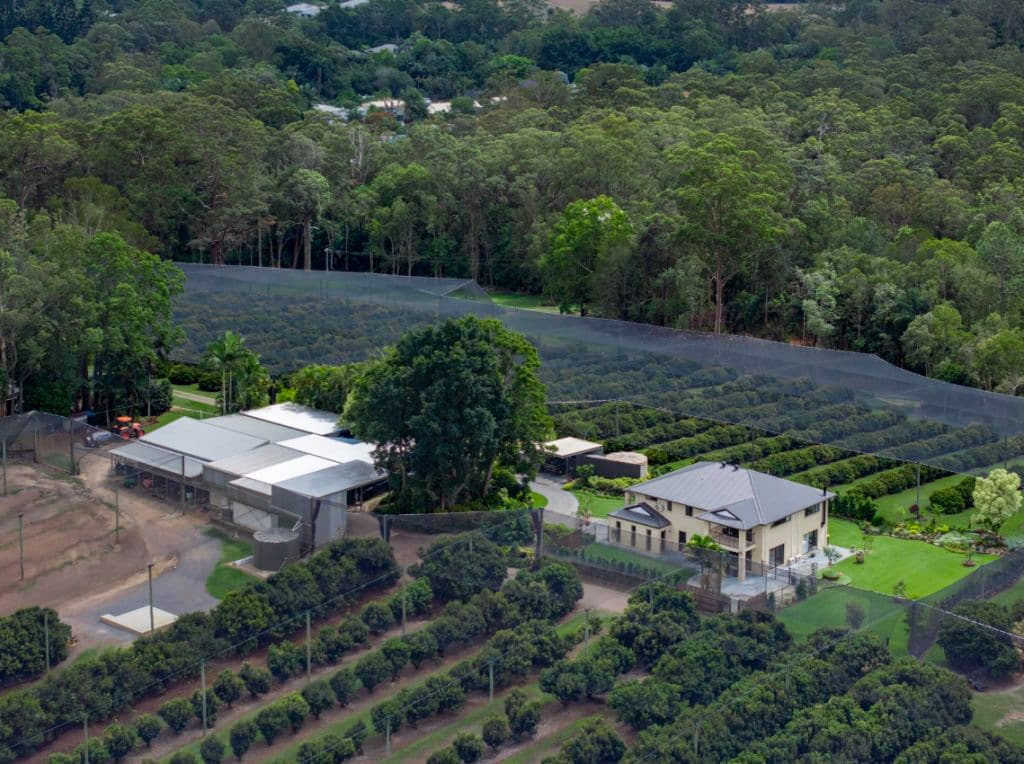 A close up of the house and sheds.
