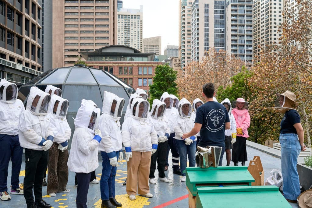 Rooftop Bees installs the hives, manages the bee colony and overses the honey harvest.