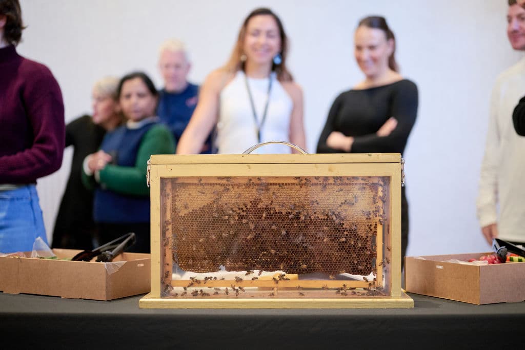 Urban honey production supports biodiversity and guests experience in hotels, and for other companies, involves employees in something impactful and meaningful, according to John Prince, founder of Rooftop Bees.