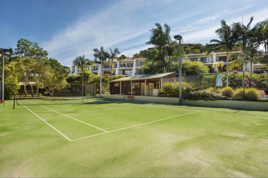 A grass court tennis court with floodlights is seen among palm trees.