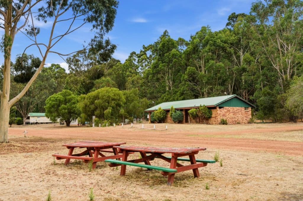 A picnic table amid the forest grounds.