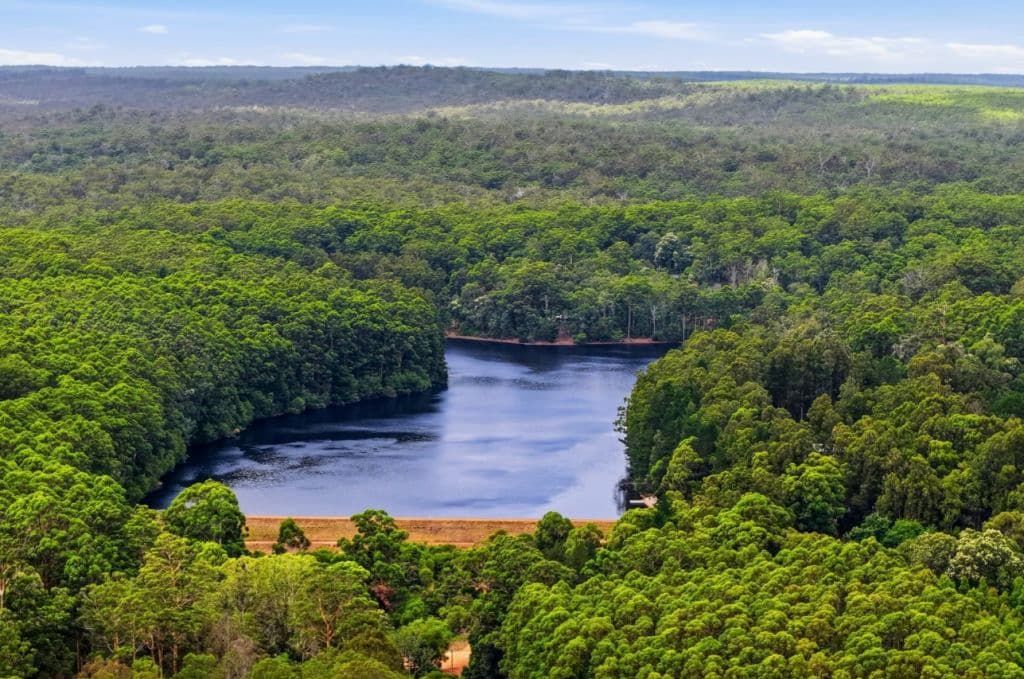 A lake surrounded by forest that supplies the town's water.