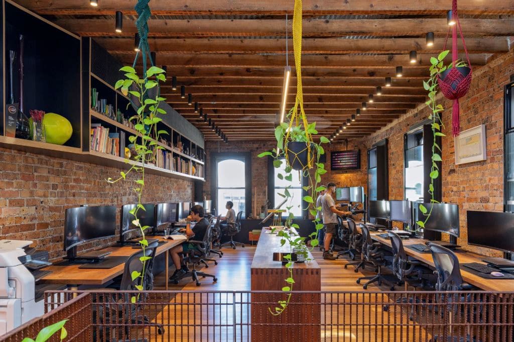 An open-plan workspace with plants hanging down and timber beams.