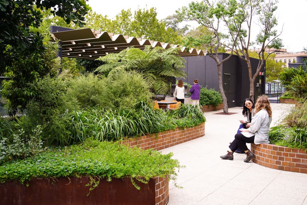 The native food garden at 477 Pitt Street in Sydney's CBD