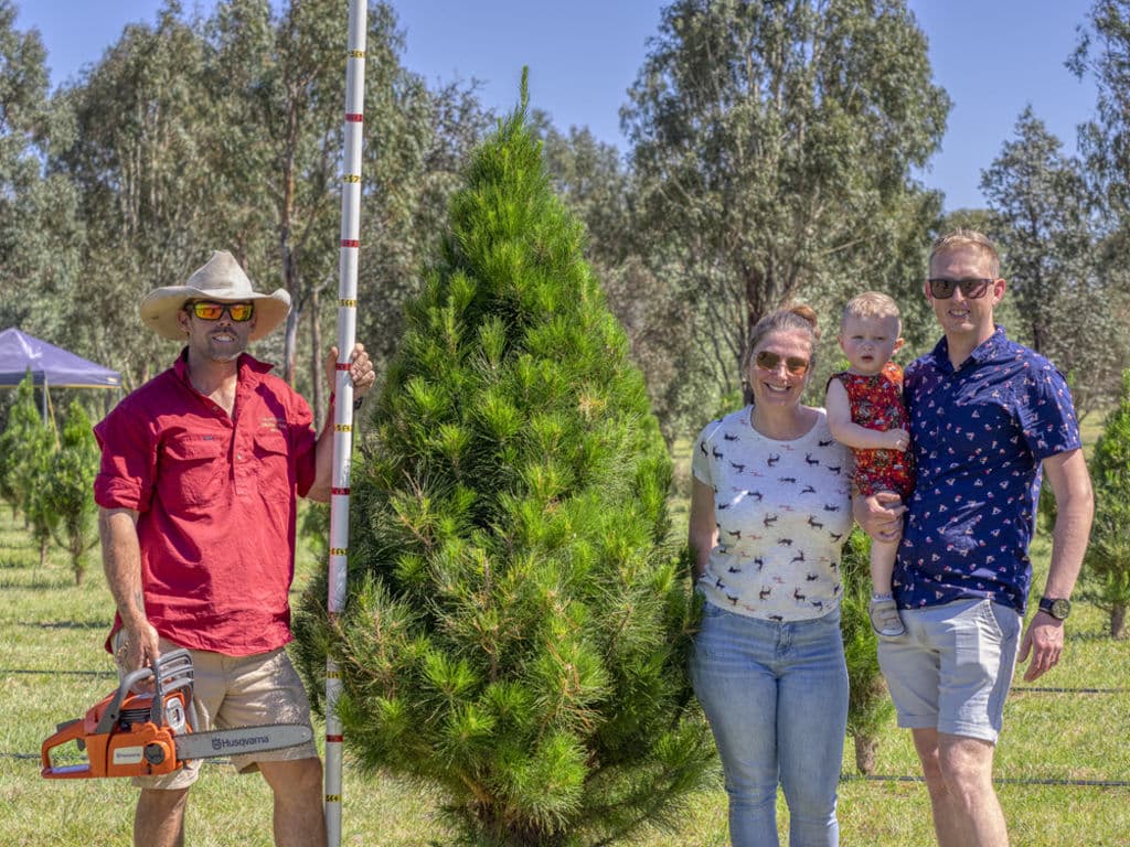 christmastreefarm