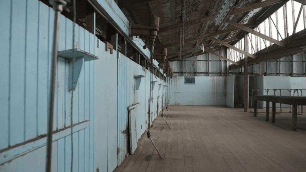 cullenswood-4