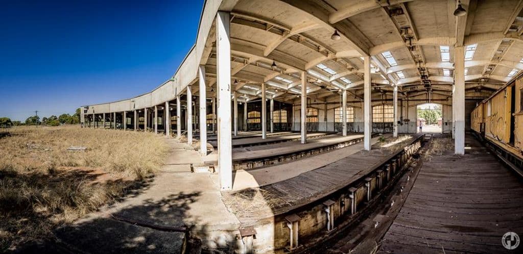 collie-roundhouse-1