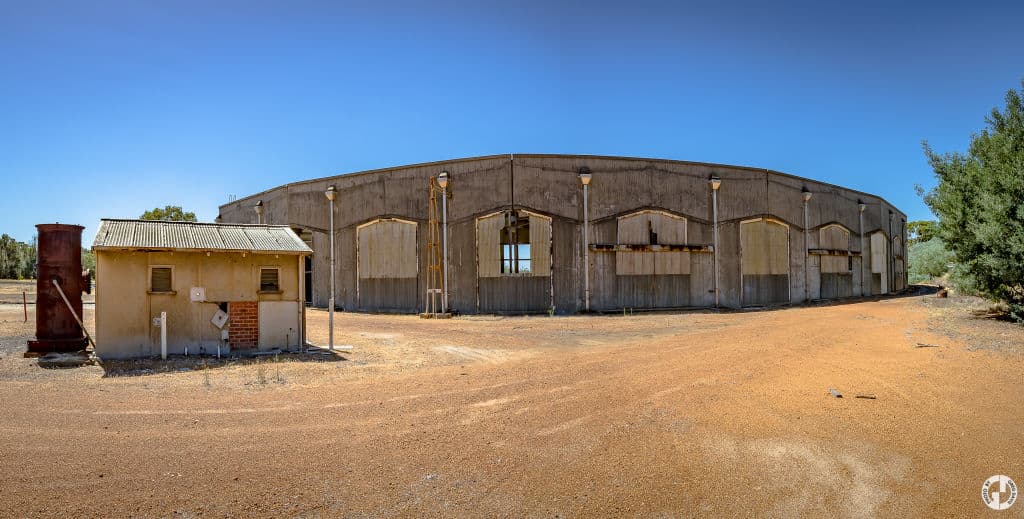 collie-roundhouse-4