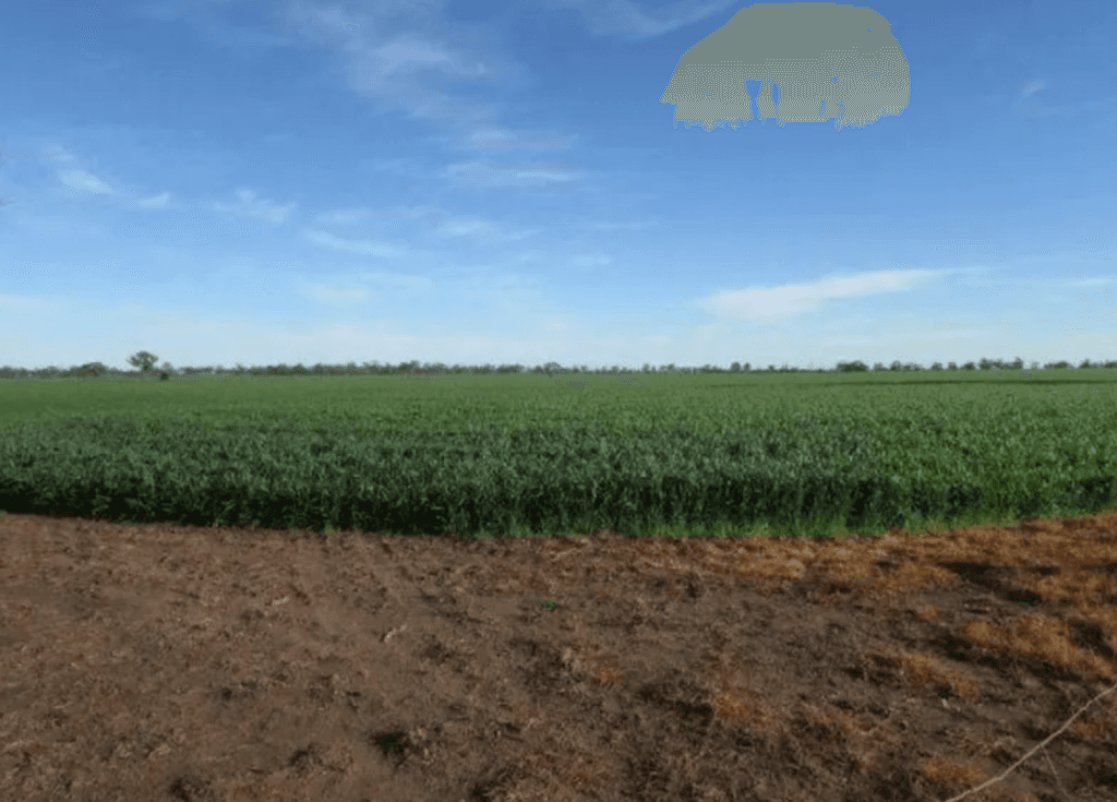 warracknabeal-block