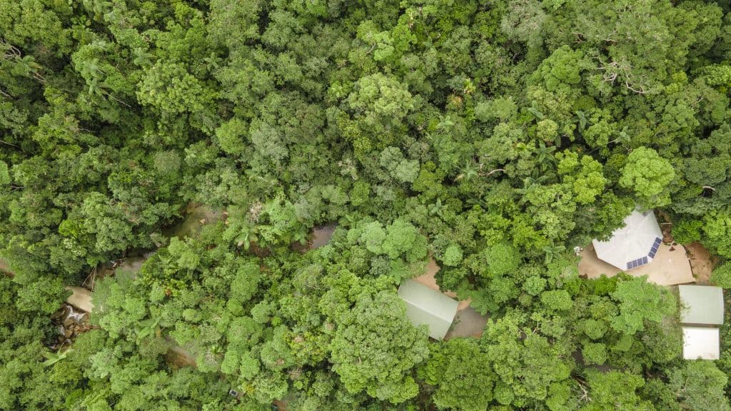 Daintree4_ae5mv7