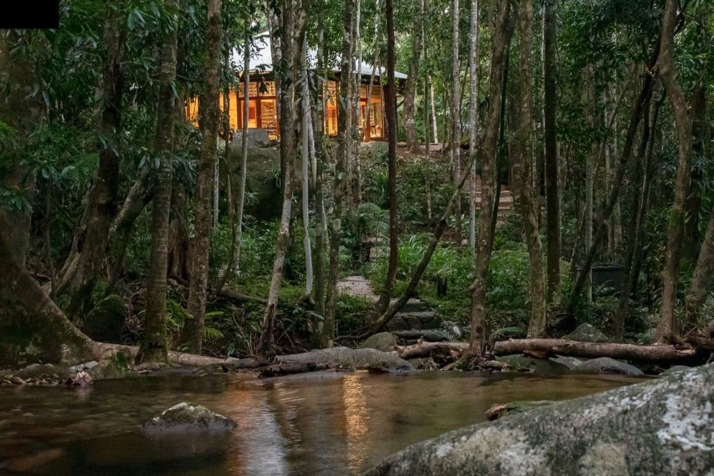 Daintree_5_l1gcts