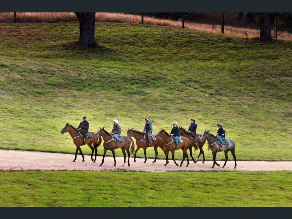Macedon_Lodge_has_produced_so_many_Melbourne_Cup_winners_it_is_considered_a_Cup_factory._Photo_LAWD_Melbourne_bqazze
