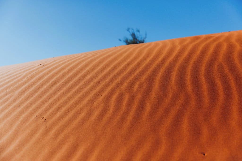 Deep red sand dunes up close with a blue sky backdrop.