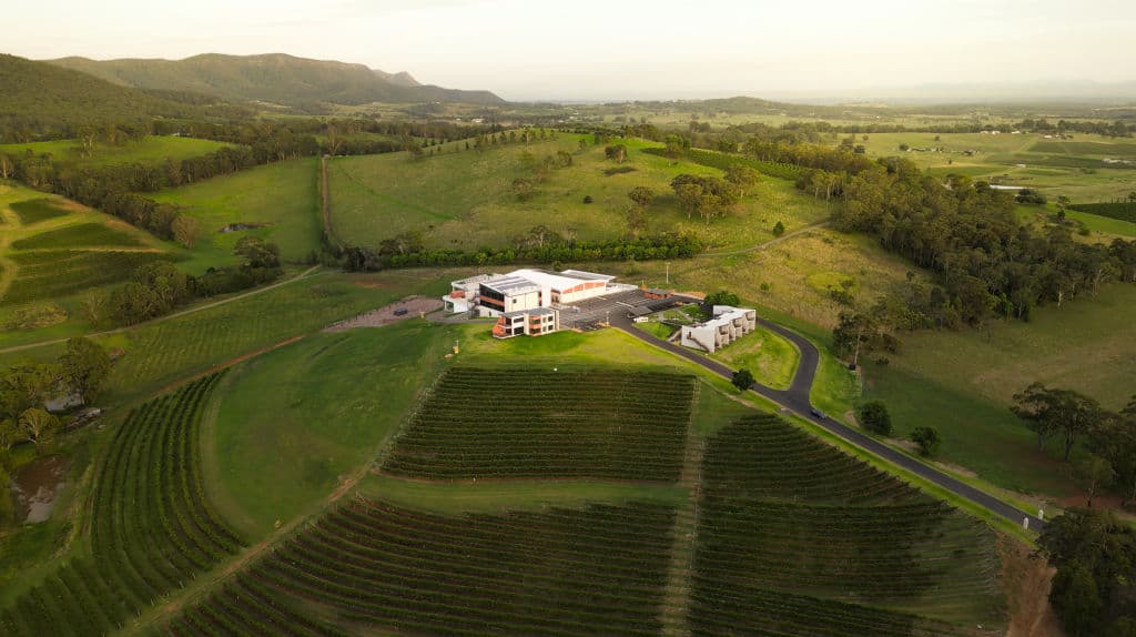 Vineyard, winery