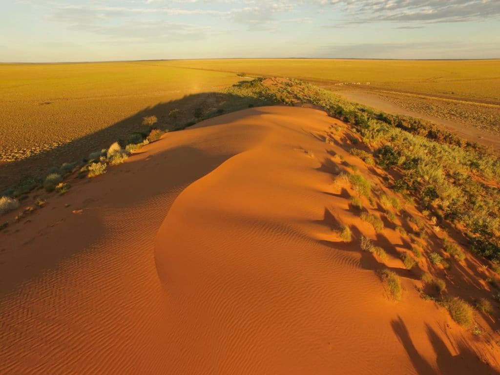 Red sand dunes meet a blue sky at sunset.
