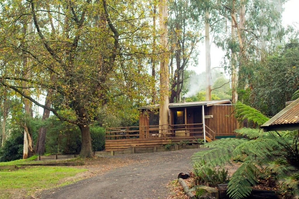 A lovely rustic cabin amongst tall trees.