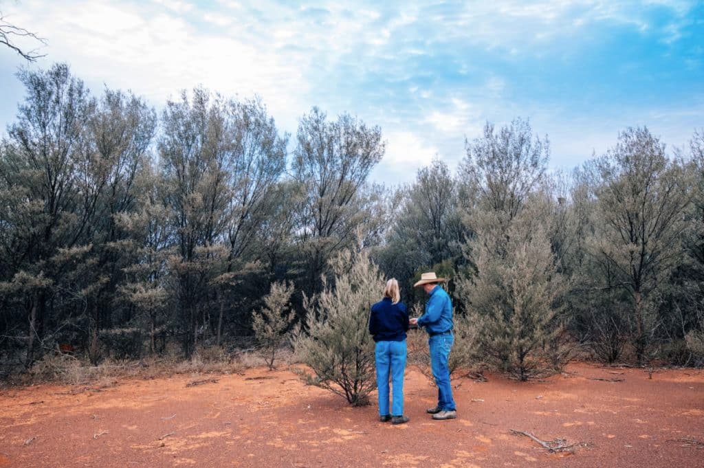 A man and woman inspect the land near trees and red earth.