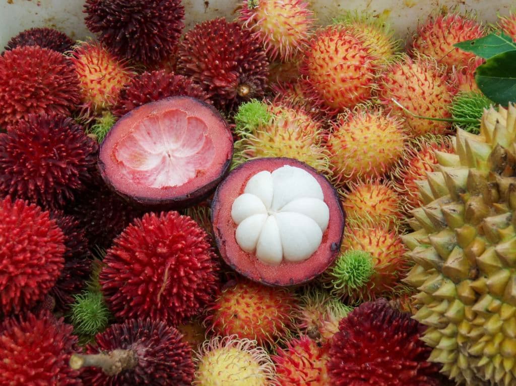 A mangosteen cut half open shows an ivory-white mandarin-like fruit.
