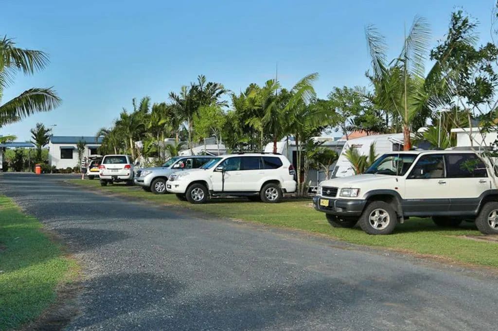 A row of cars and caravans amid palm trees.
