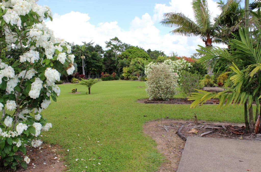 Grass spaces with pretty trees and shrubs around a mowed lawn.