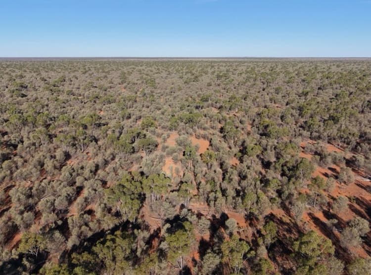Queensland carbon and grazing portfolio bigger than Brisbane selling ...